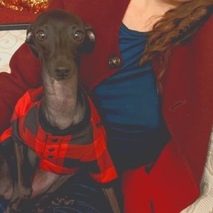 Profits will be donated to charities ❤️